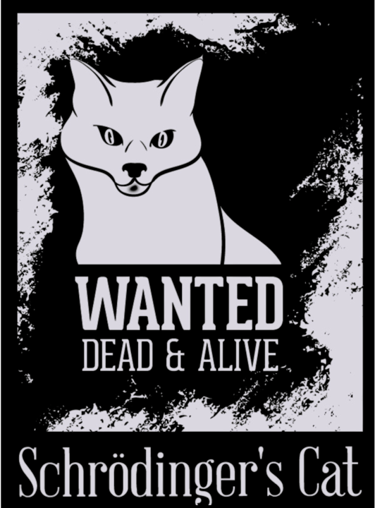 Women's Classic Tshirt - Schrödinger's cat